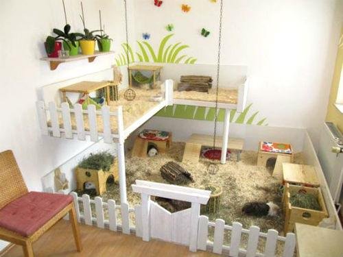 area giochi in casa per coniglietti domestici